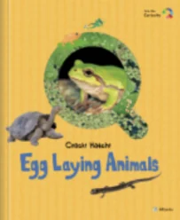 絵本「Egg Laying Animals」の表紙