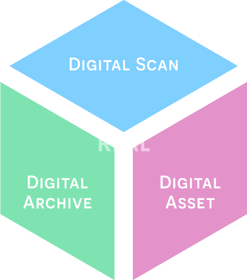 BeyondReal & Digital Borders