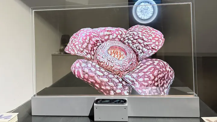 3D-Daten einer Rafflesia, die auf einem transparenten Display zu schweben scheinen