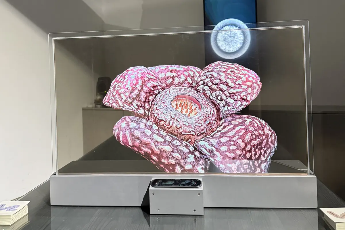 3D-Daten einer Pflanze auf einem transparenten Display
